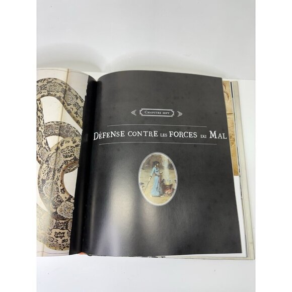 Harry Potter Un Monde De Magie Book British Library FRENCH EDITION 2018 265p. - Picture 13 of 16